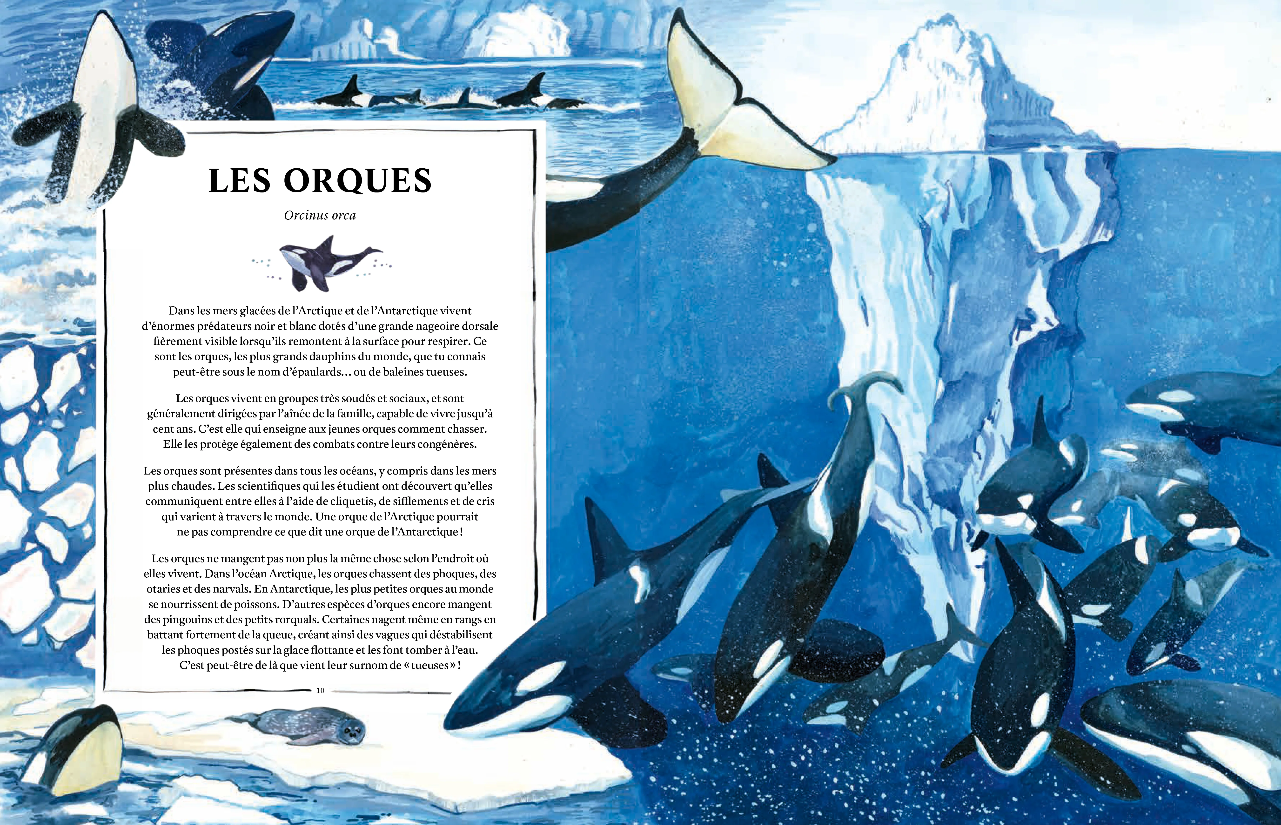 Oceanopedia - Image 2