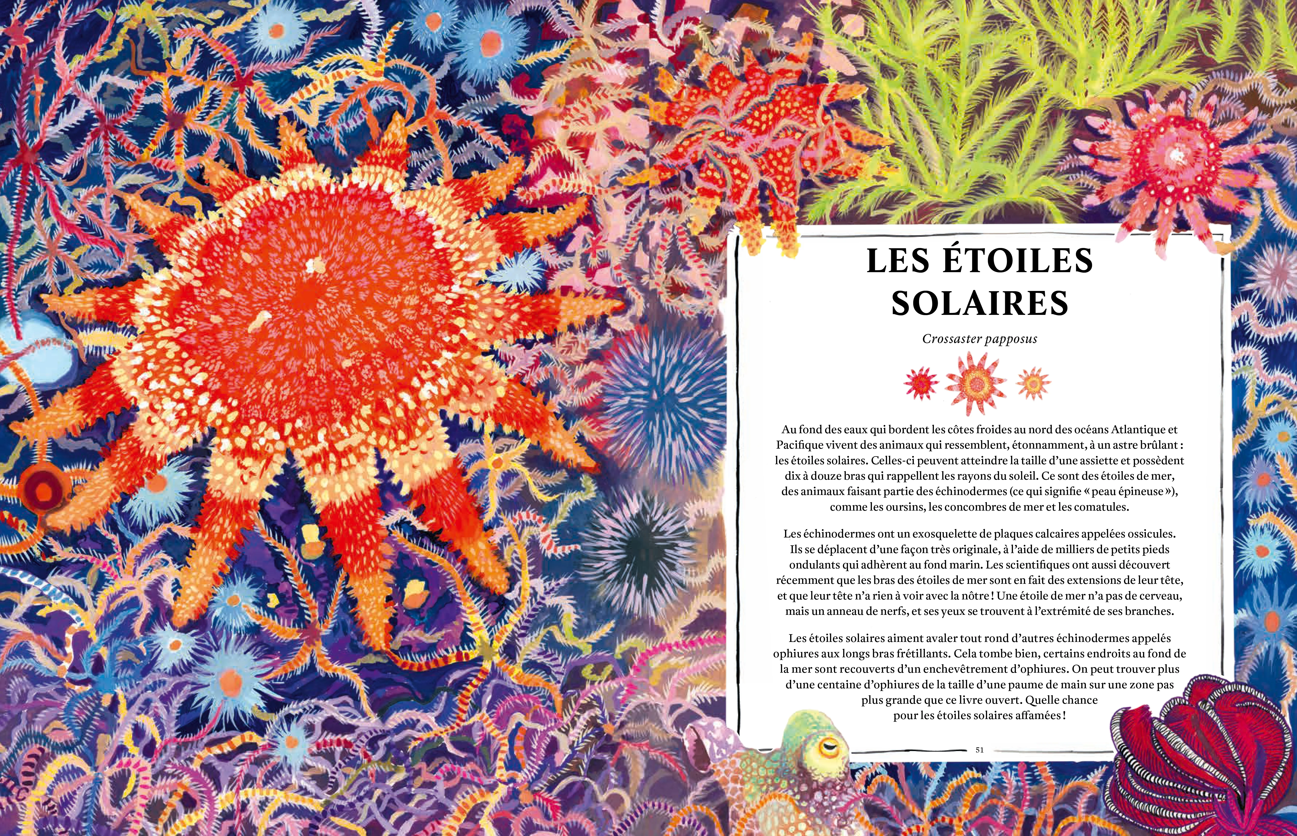 Oceanopedia - Image 4
