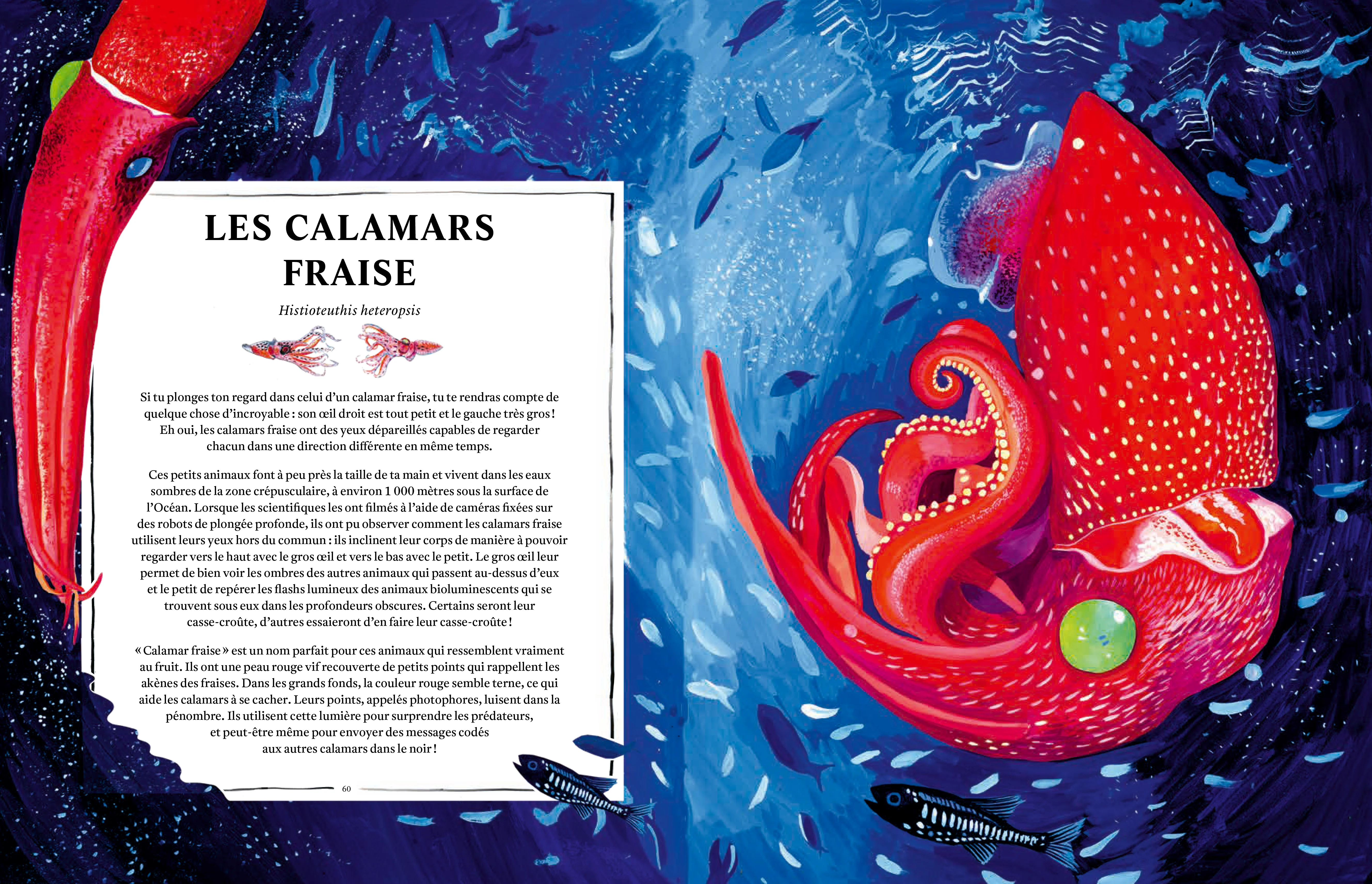 Oceanopedia - Image 5