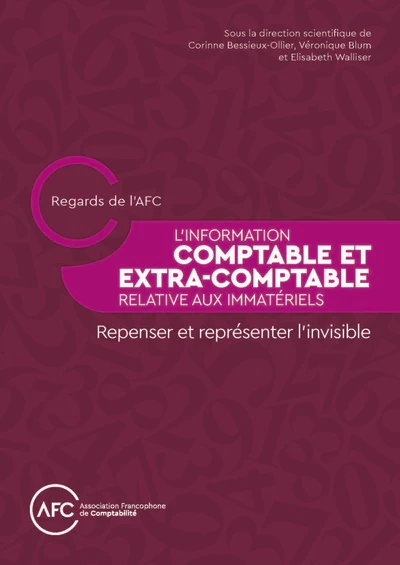 L'Information comptable et extra-comptable relative aux immatériels - Image 3