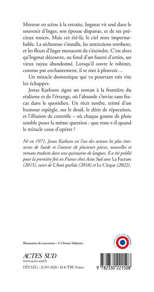 L'Homme de pluie - Image 4