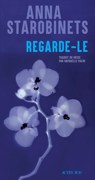 Regarde-le - Image 11