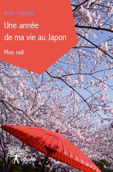 Une année de ma vie au Japon - Mon exil - Image 2