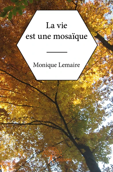 La vie est une mosaïque - Image 3