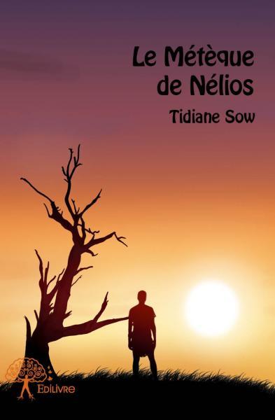 Le Métèque de Nélios