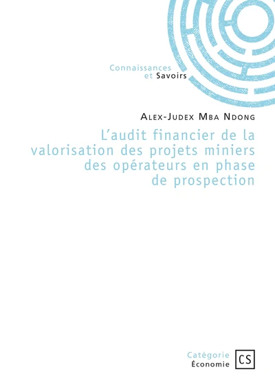 L'audit financier de la valorisation des projets miniers des opérateurs en phase de prospection - Image 3