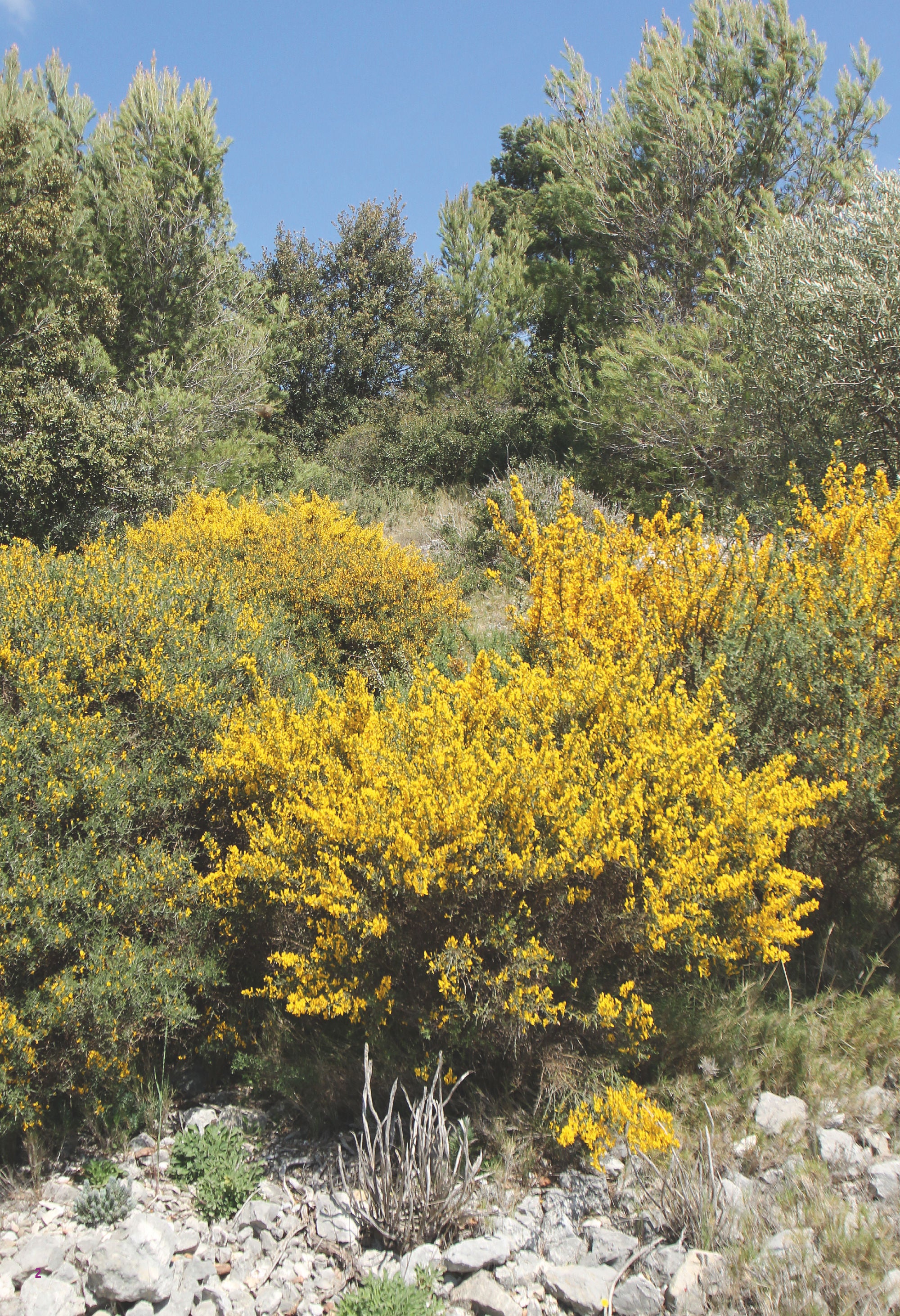 Balades à vélo dans les Alpilles - Image 2