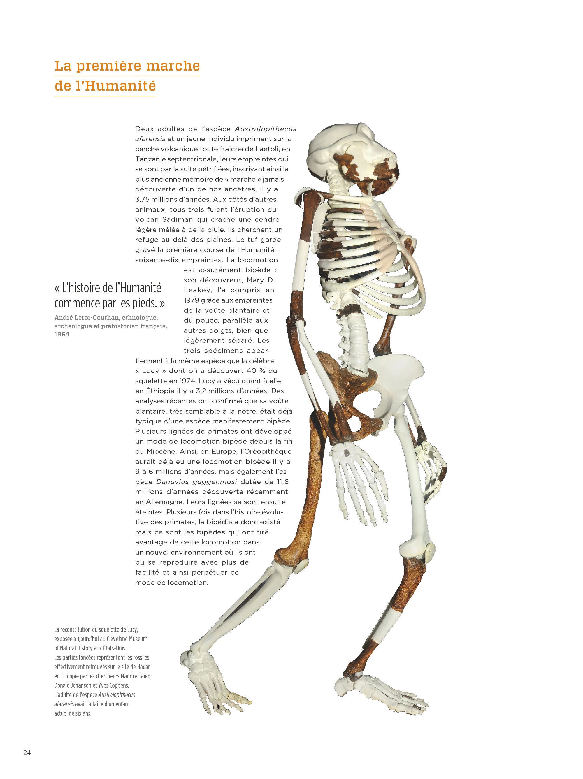 Le Grand Guide Homo Sapiens - Image 2