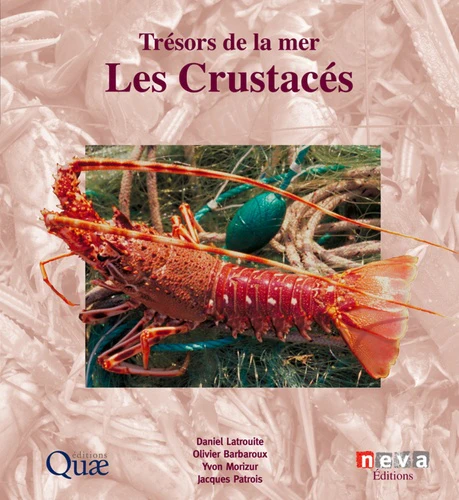 Trésors de la mer : Les crustacés - Image 3