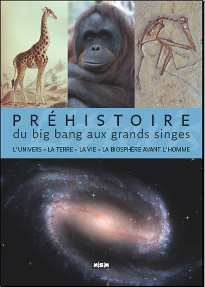 Préhistoire, du Big Bang aux grands singes - Image 4