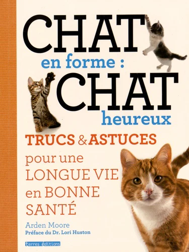 CHAT EN FORME CHAT HEUREUX - Image 2