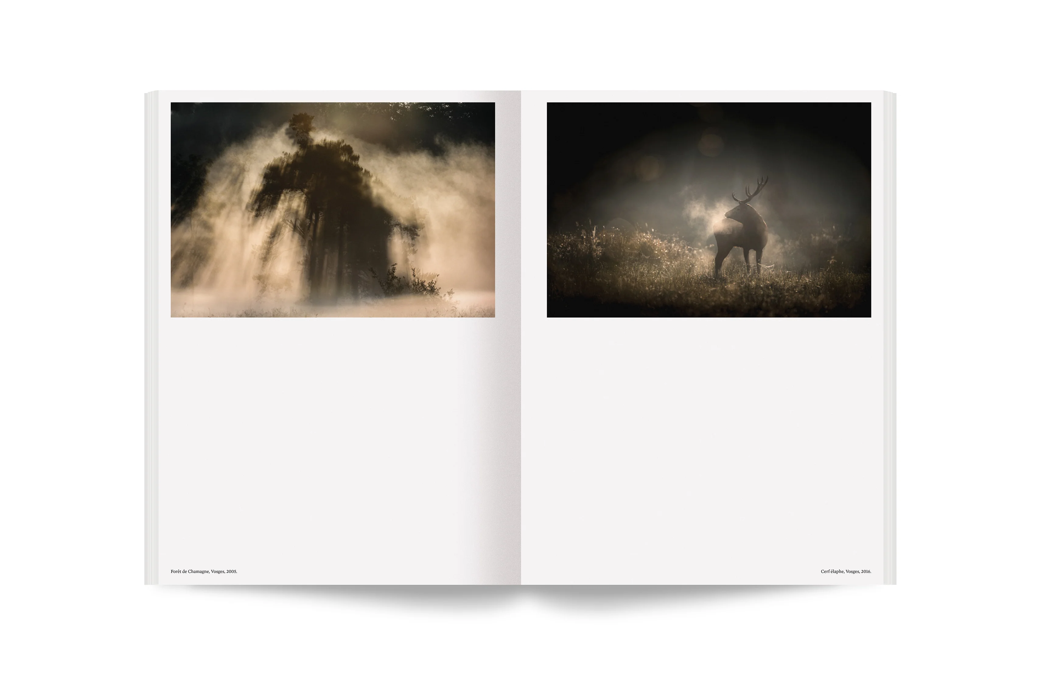 Album - 100 photos pour la liberté de la presse - N° 82 Vincent Munier - Image 23