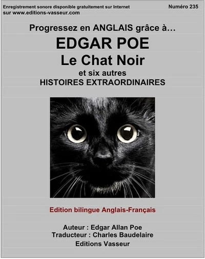 Le chat noir et six autres histoires extraordinaires - Image 3