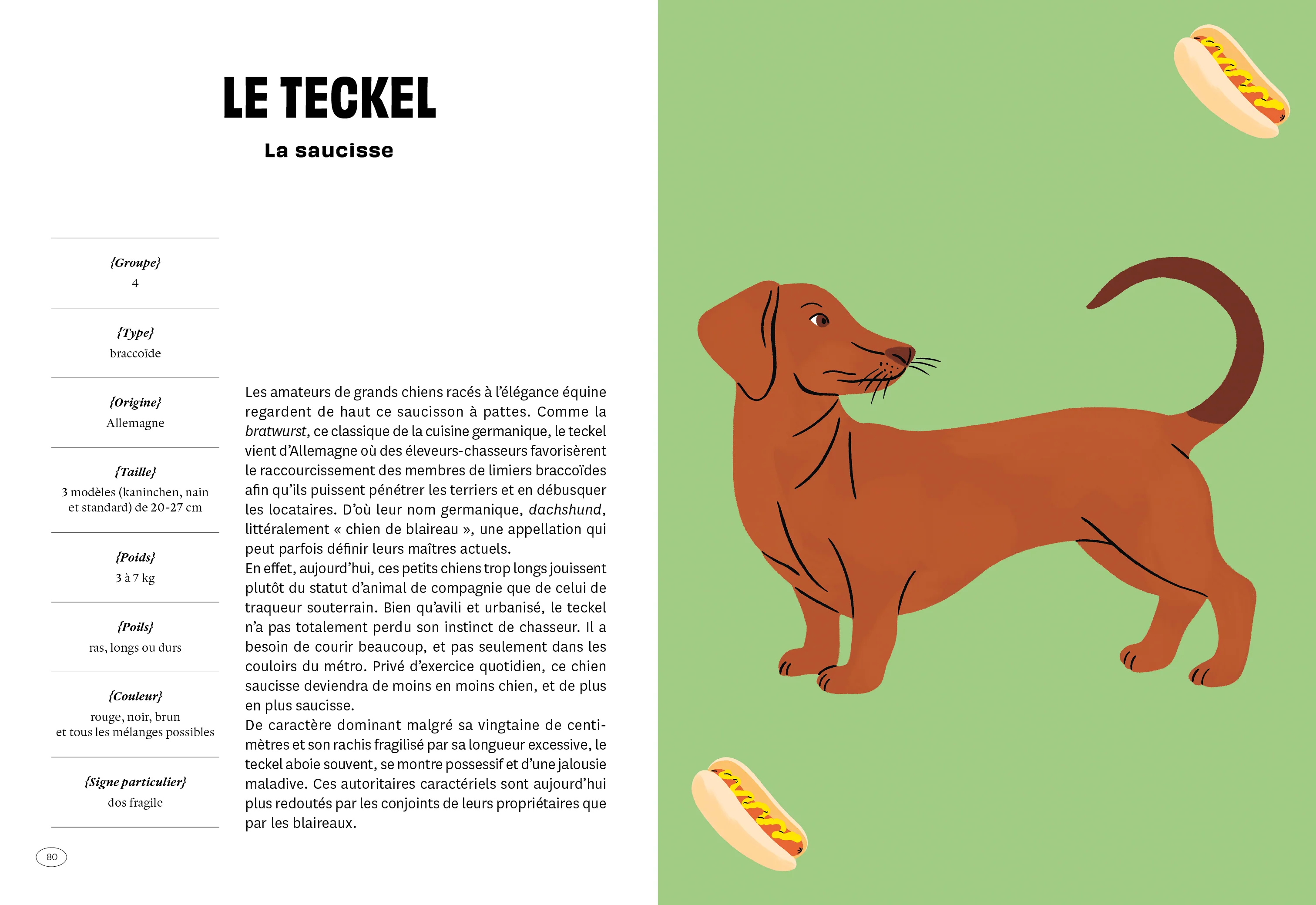Con de chien - Image 16