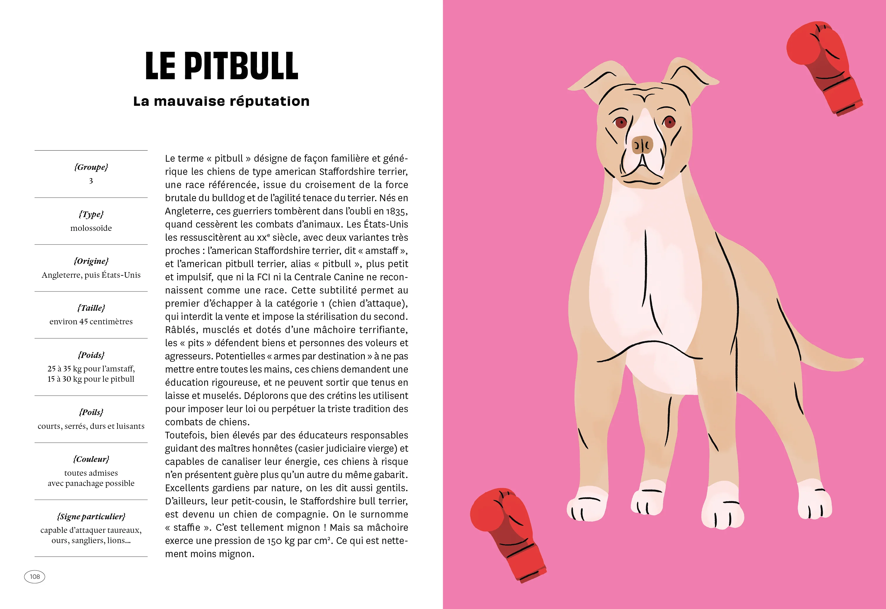 Con de chien - Image 18