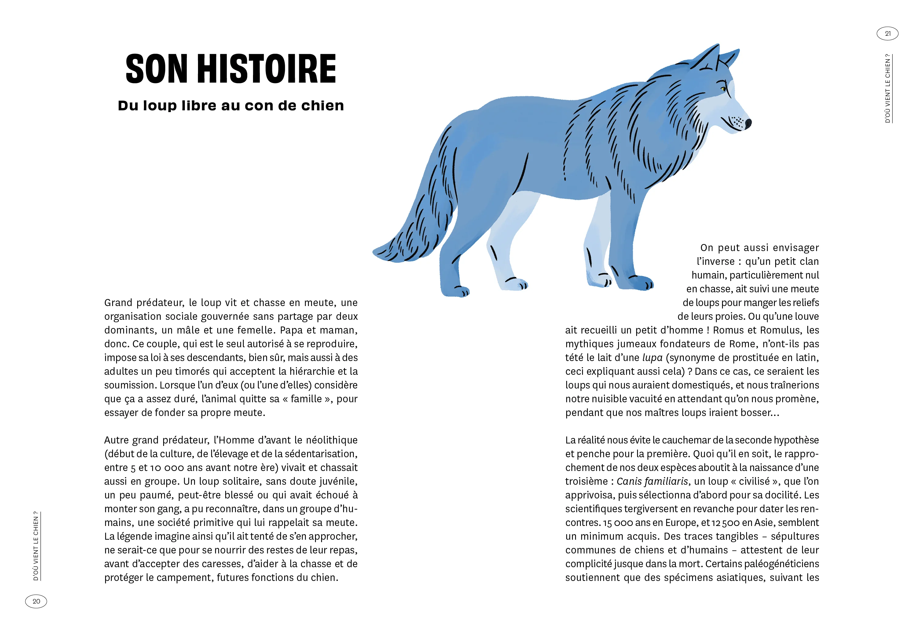 Con de chien - Image 22