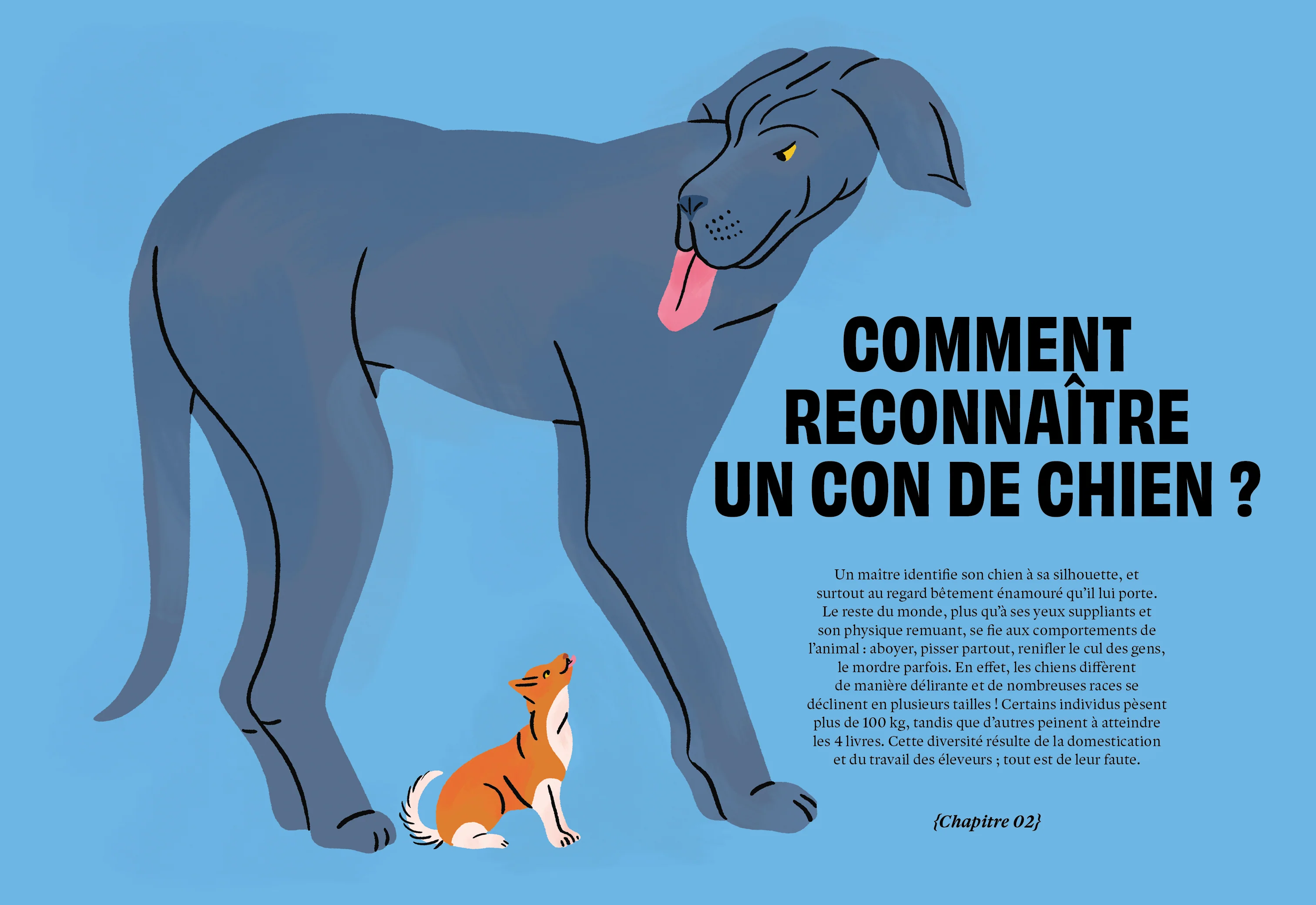 Con de chien - Image 23