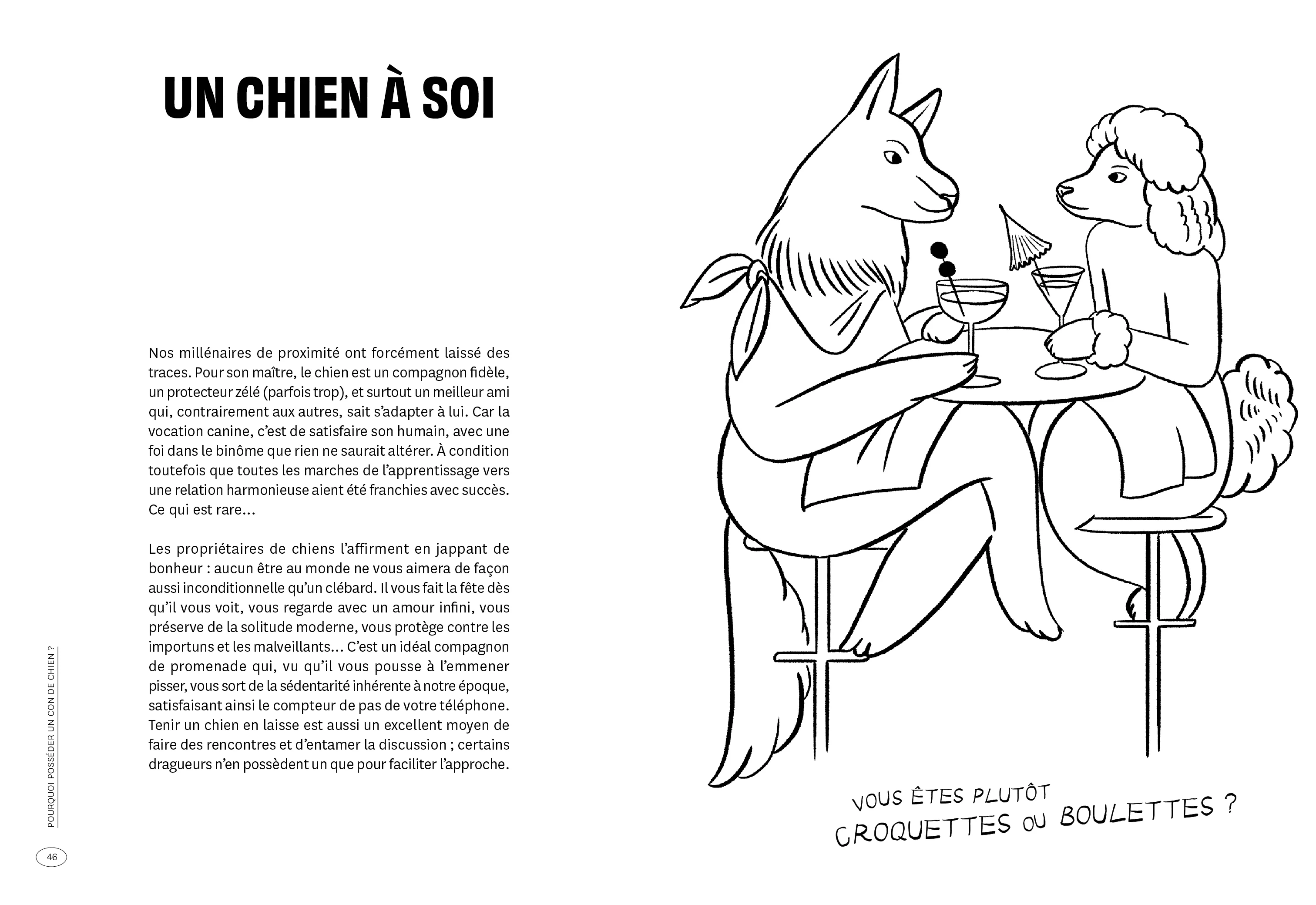 Con de chien - Image 24