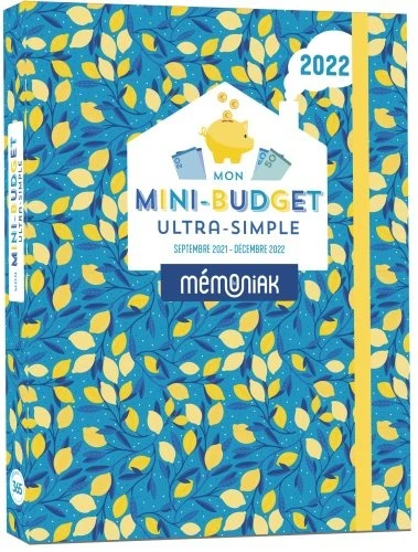 Mon mini-budget ultra-simple Mémoniak 2021-2022 - Image 7