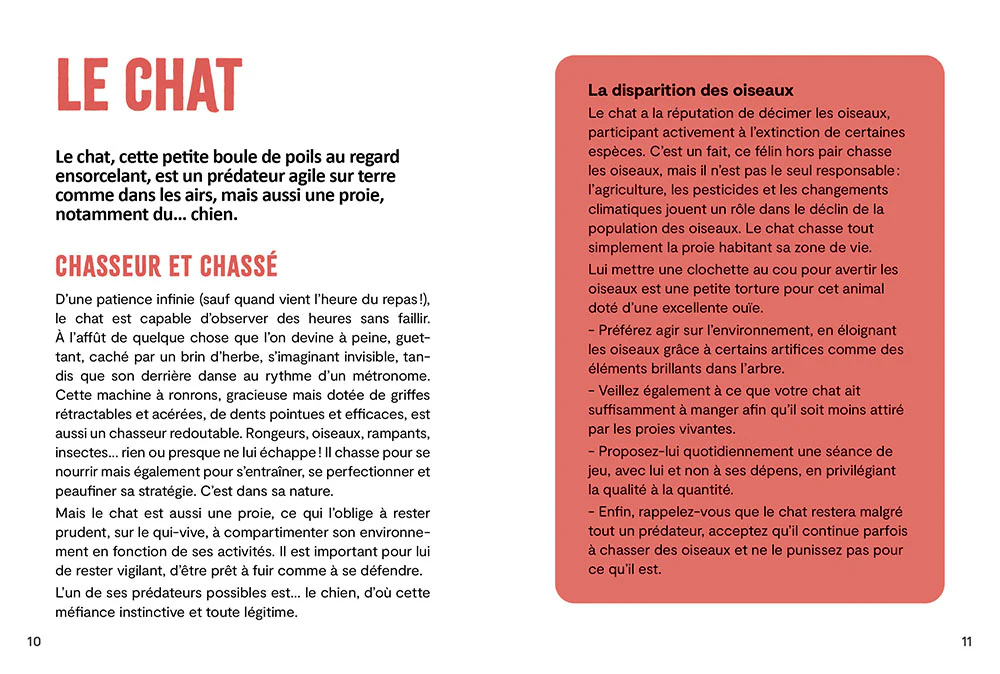 Copains comme chien & chat - Réussir la cohabitation - Image 18