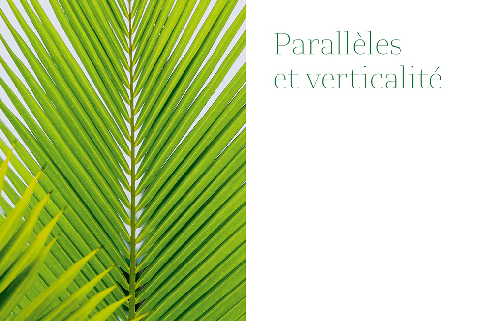 La géometrie dans le monde végétal - Image 21