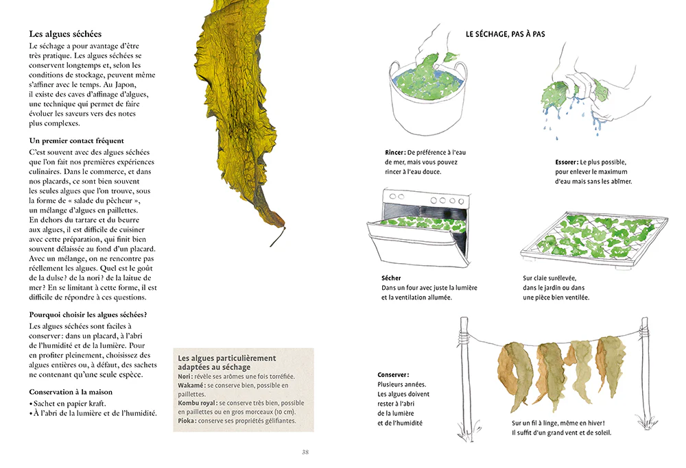 La cuisine des algues - Cueillette et recettes iodées - Image 10
