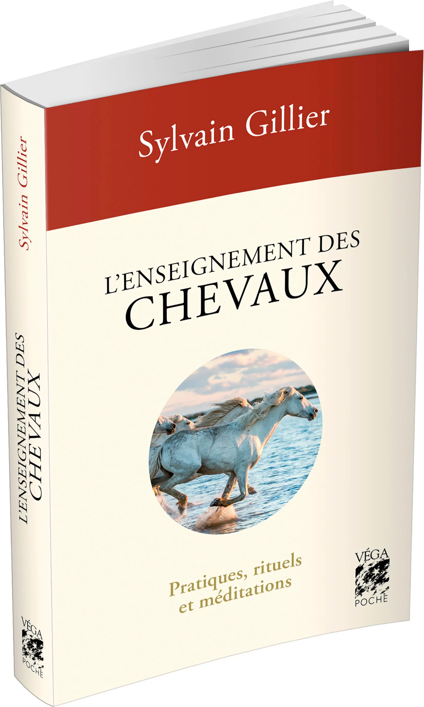 L'enseignement des chevaux - Pratiques, rituels et méditations - Image 15