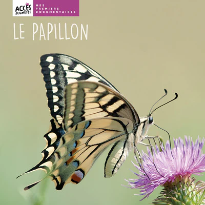 LE PAPILLON - Image 8