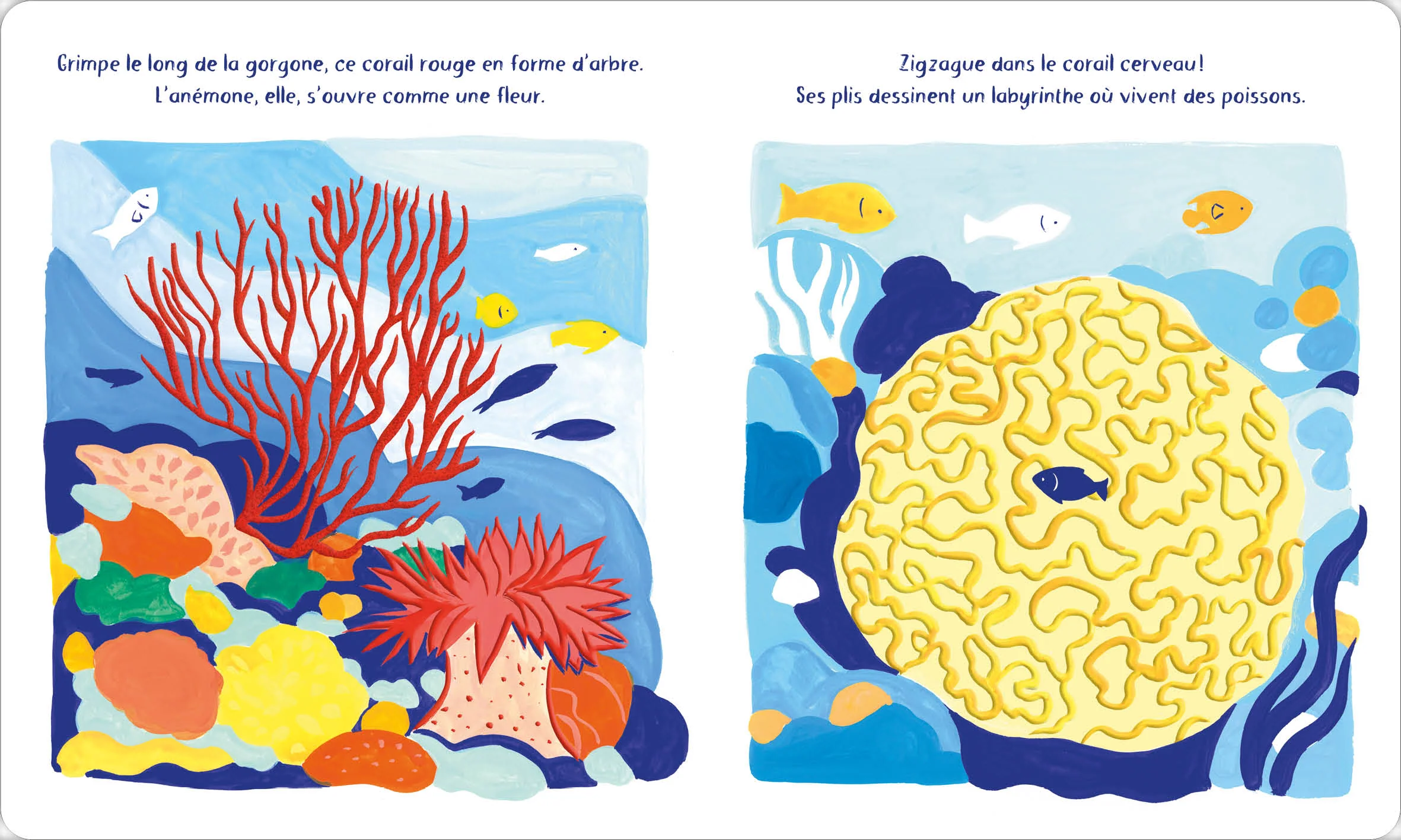 Dans l'océan - Image 9