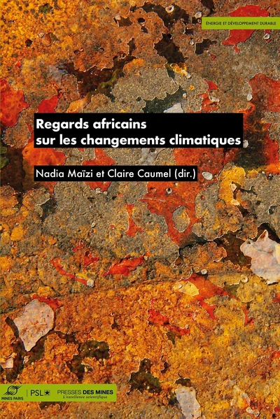 Regards africains sur les changements climatiques - Image 6