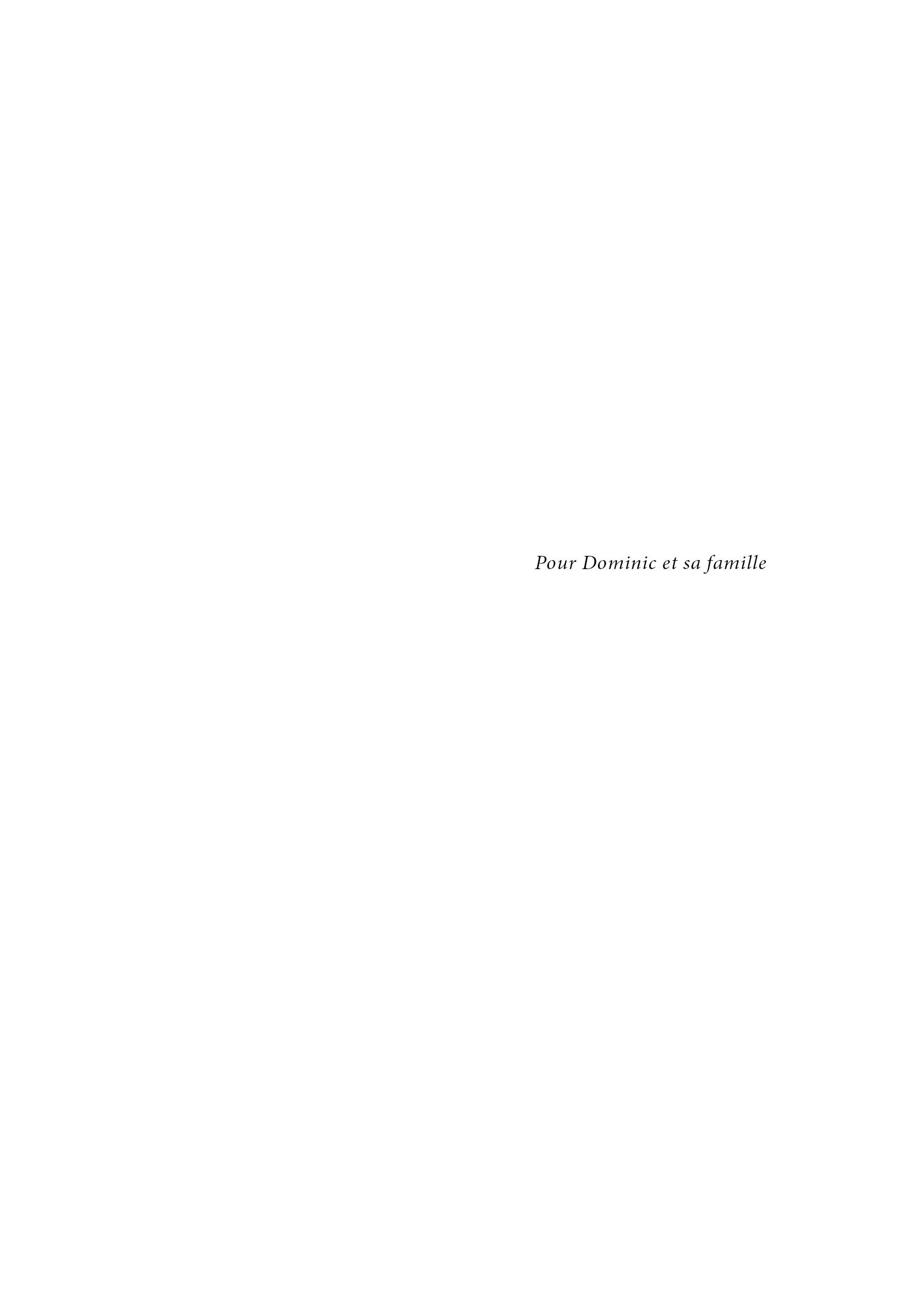 Les Maux de Domino - Image 7