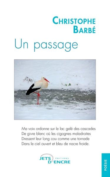 Un passage - Image 12