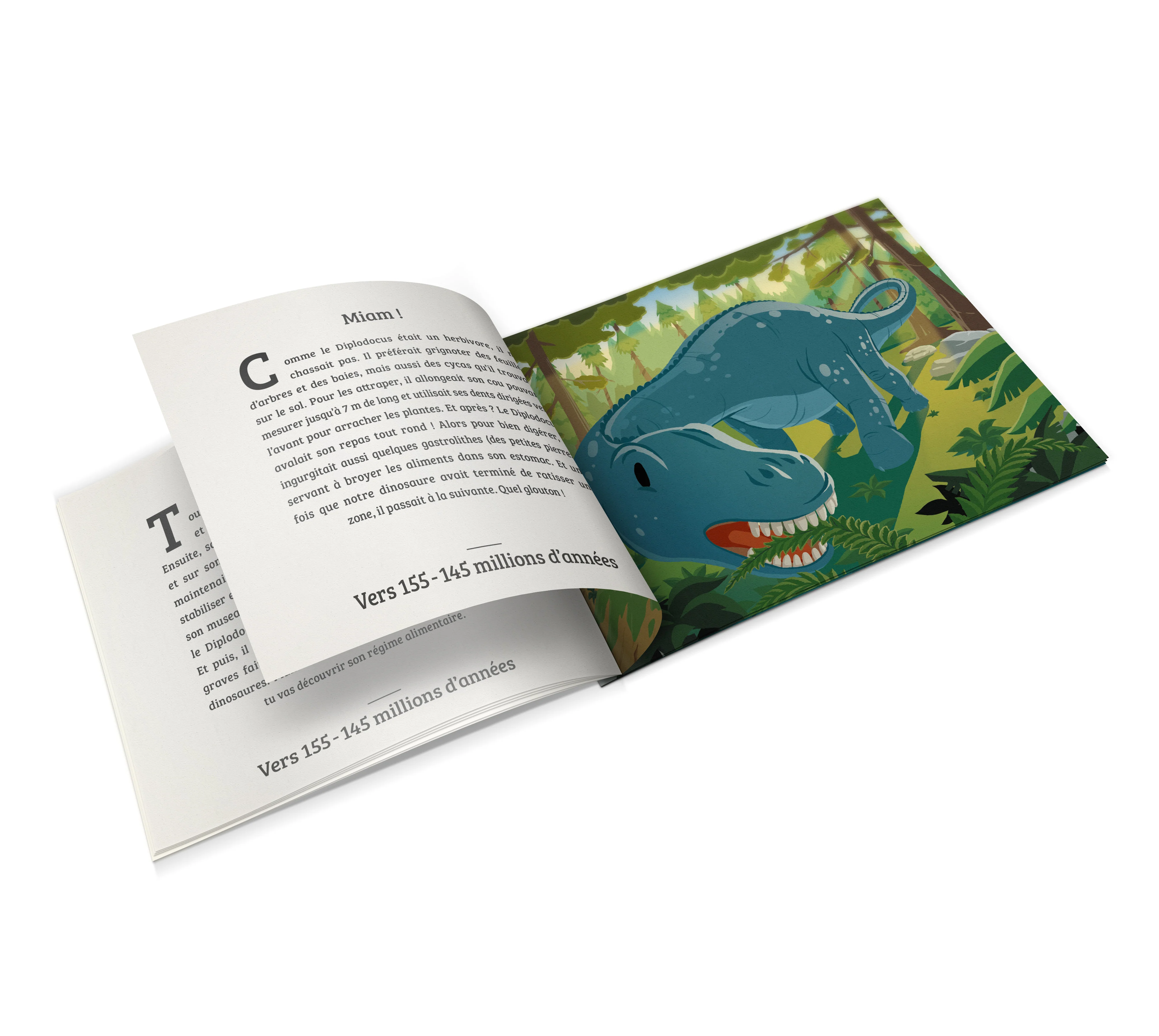 Le Diplodocus - Image 2