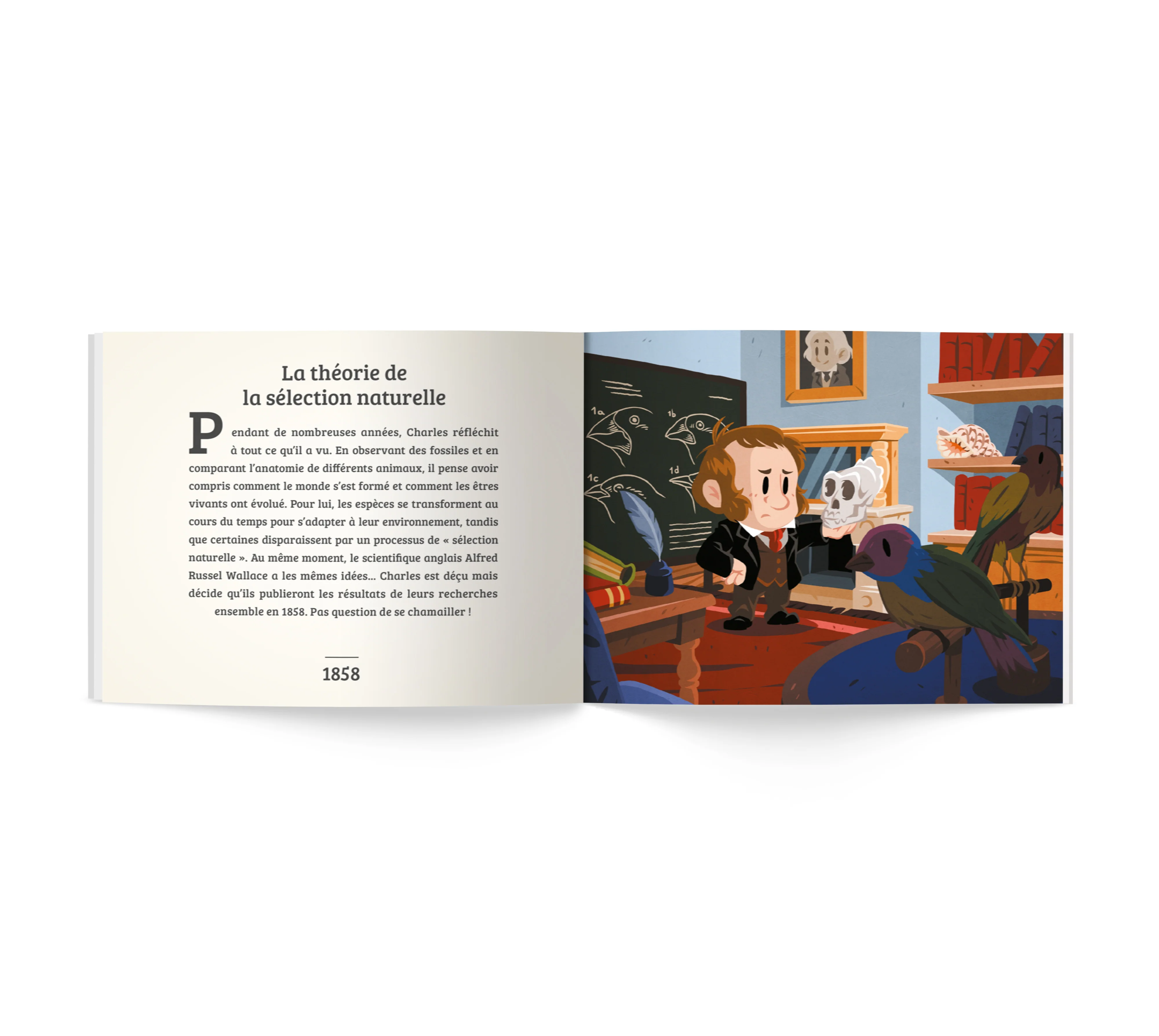 Charles Darwin - Image 13