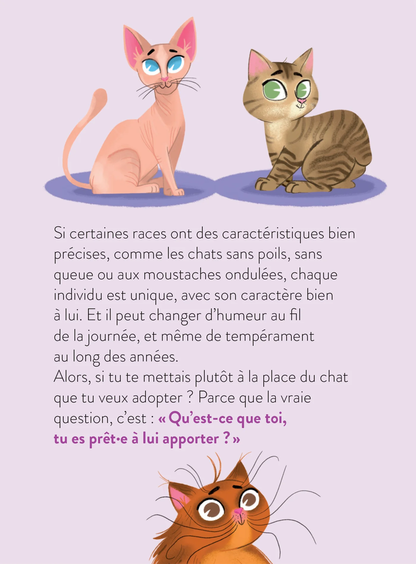 Le monde dont tu es le héros - Adopter un chat - 7/9 ans CE1/CE2 - Image 29
