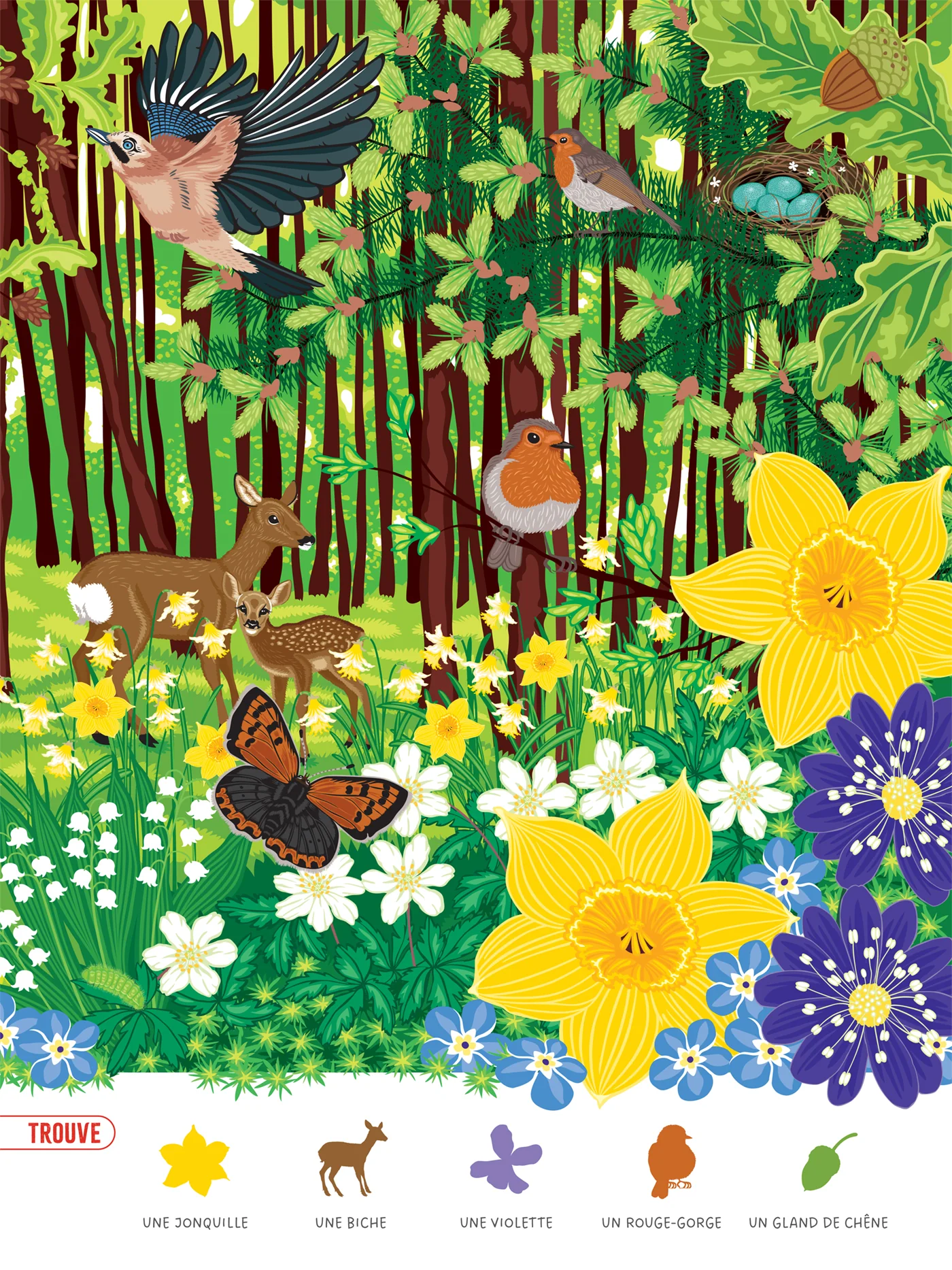 Cherche et trouve dans la nature - Image 12