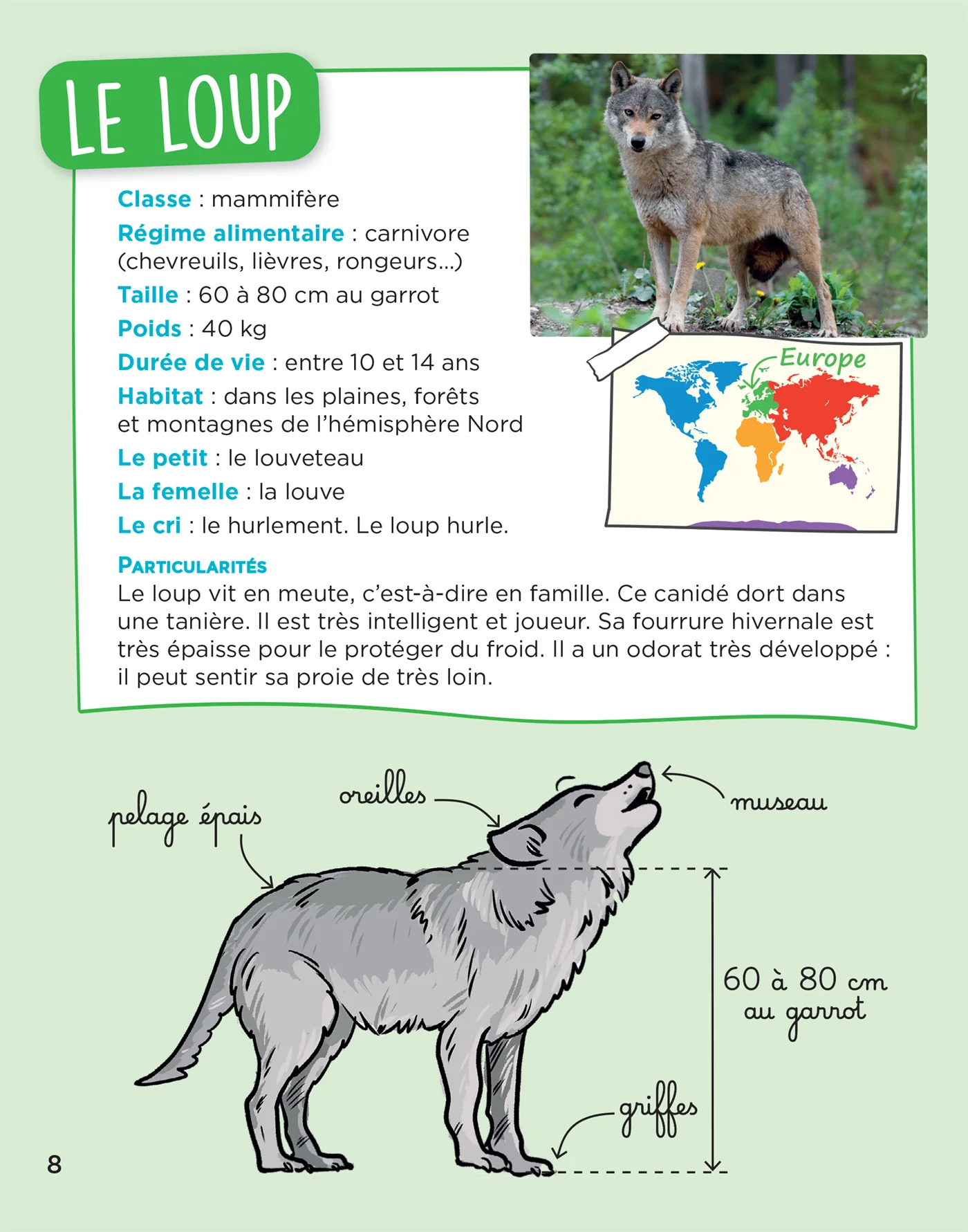 En route pour le documentaire - Cycle 2 - Les animaux du monde - Ed. 2026 - Image 10
