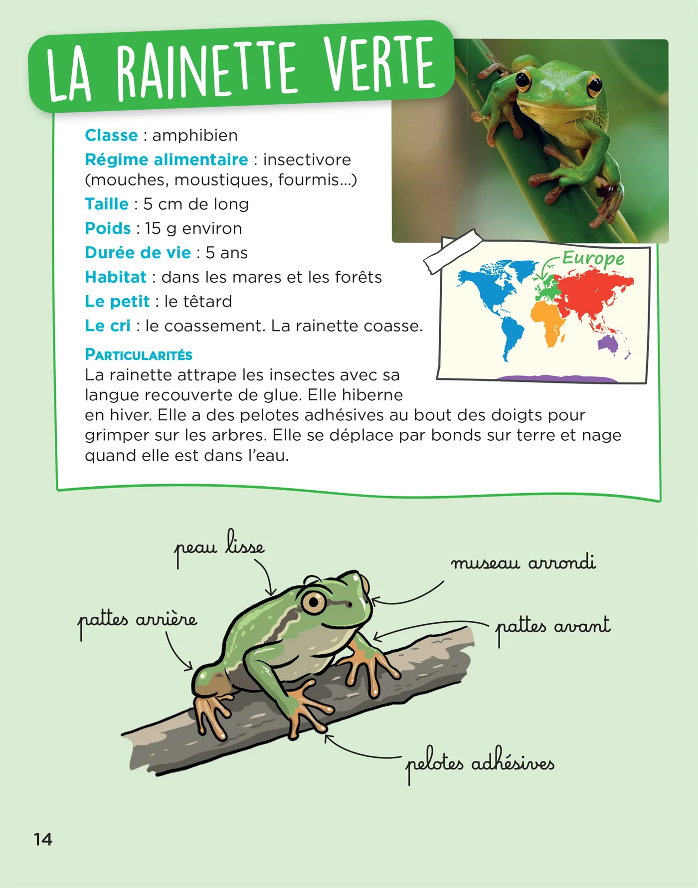 En route pour le documentaire - Cycle 2 - Les animaux du monde - Ed. 2026 - Image 16