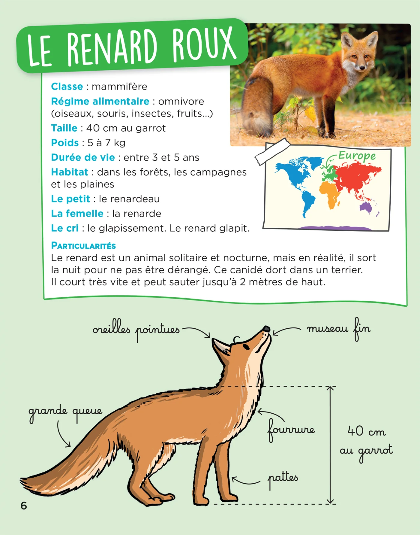 En route pour le documentaire - Cycle 2 - Les animaux du monde - Ed. 2026 - Image 8