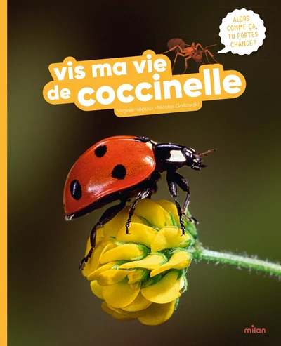 Vis ma vie de coccinelle - Image 2