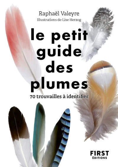 Le Petit guide des plumes - 70 trouvailles à identifier - Image 6