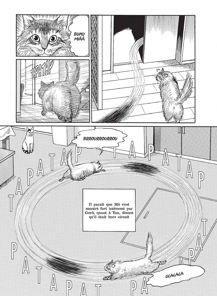 Le Journal des chats - Édition prestige - Image 16