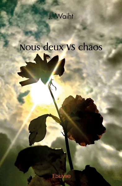 Nous deux VS chaos - Image 3