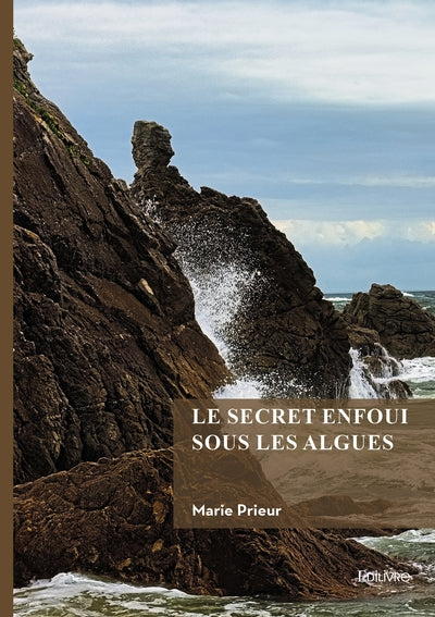Le secret enfoui sous les algues - Image 3
