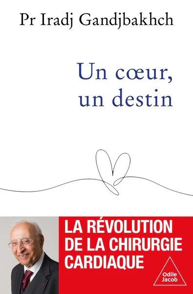 Un coeur, un destin - Image 3