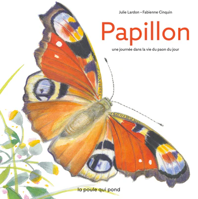 Papillon : une journee dans la vie d'un paon du jour - Image 28
