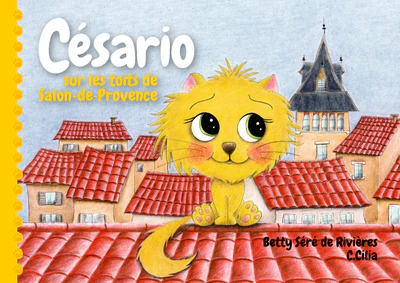 Césario sur les toits de Salon-de-Provence - Image 5