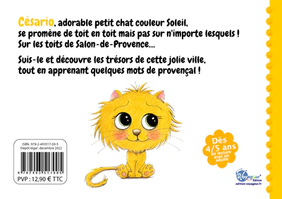 Césario sur les toits de Salon-de-Provence - Image 6