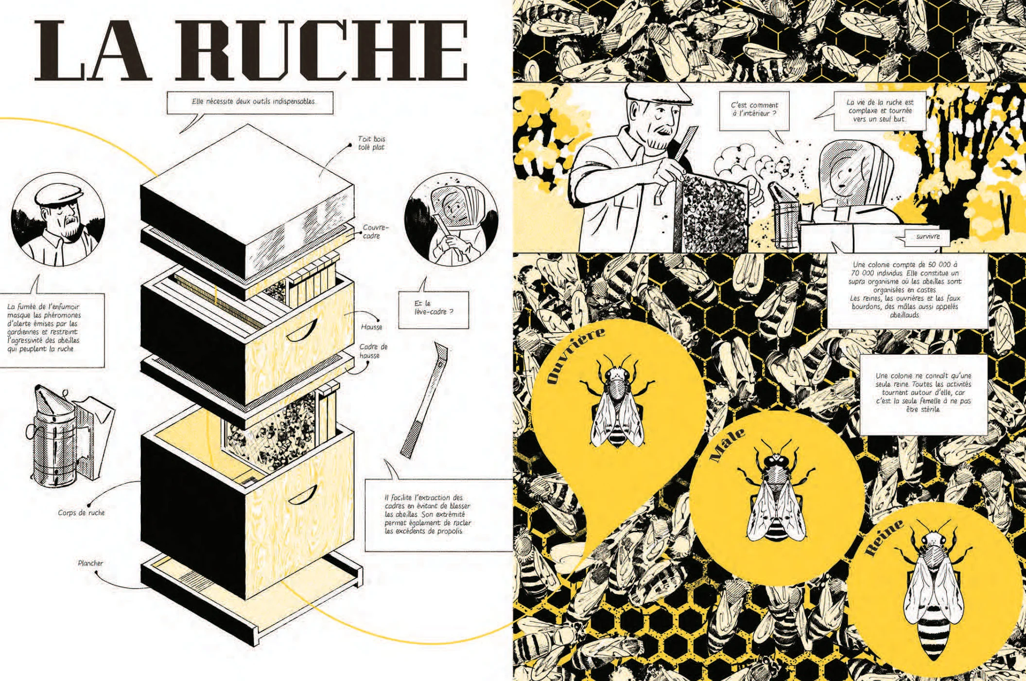 Les abeilles se cachent pour mourir - Image 12