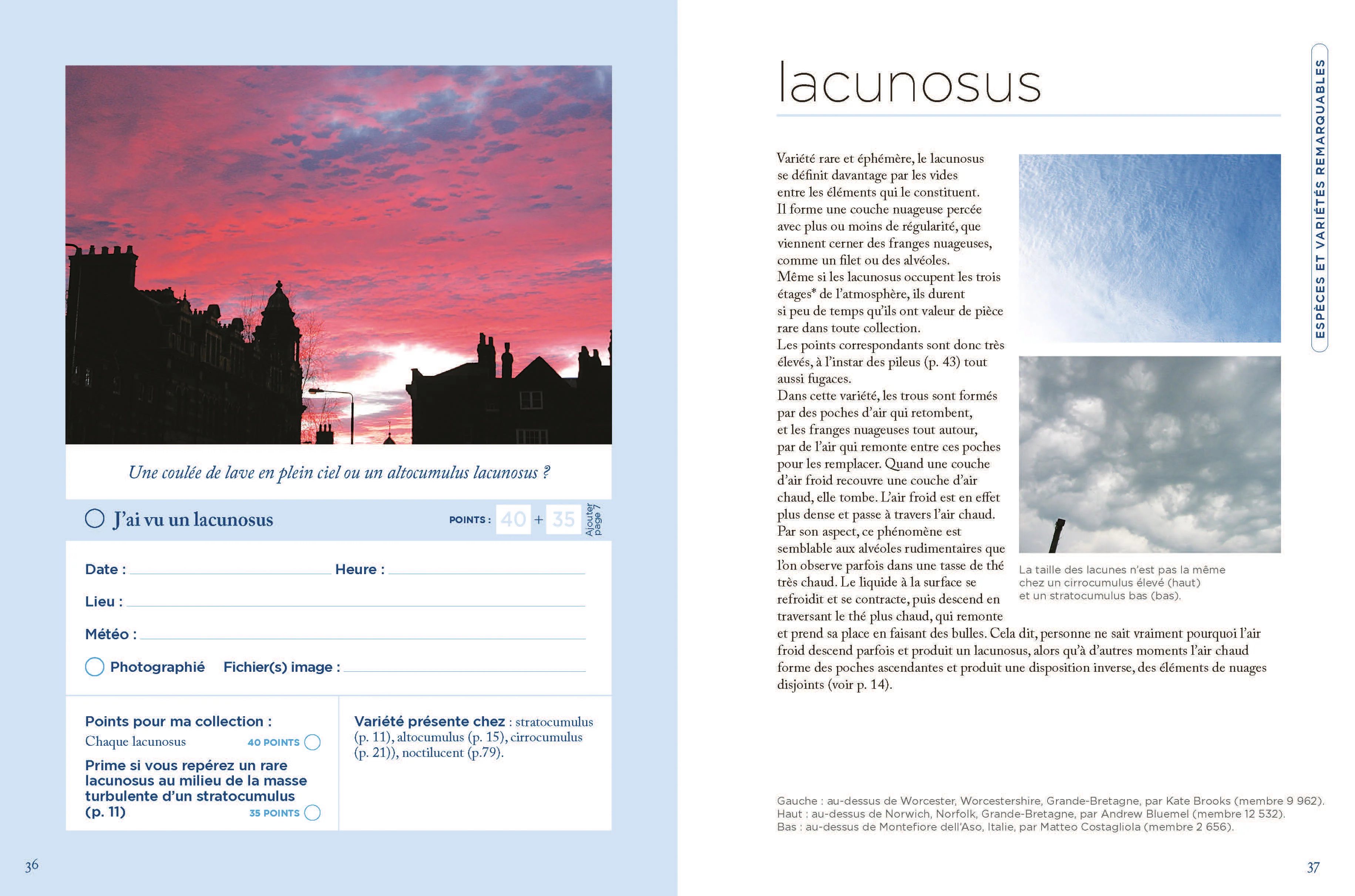 Le petit guide Marabout des nuages - Image 6